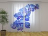 Dieninė  užuolaida "Mėlyna orchidėja"