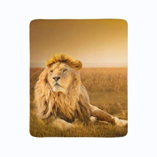 Pledas "Liūtas karalius"