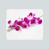 Pledas "Violetinė orchidėja"